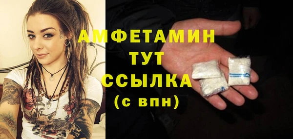 шишки Краснотурьинск