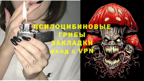 ГАЛЛЮЦИНОГЕННЫЕ ГРИБЫ Красноперекопск