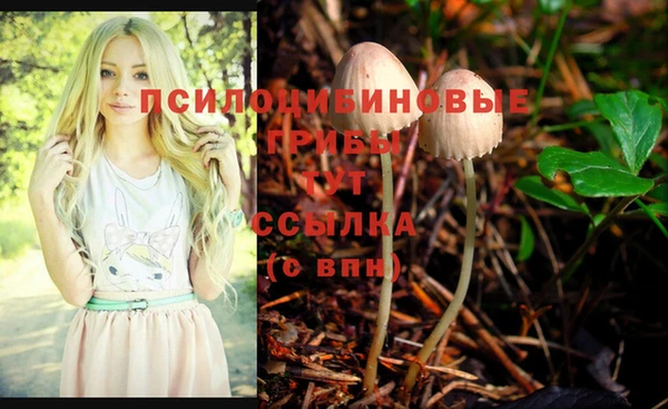 MDMA Premium VHQ Краснослободск