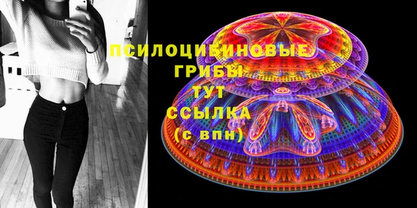 шишки Краснотурьинск