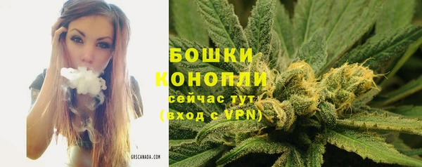 ГАЛЛЮЦИНОГЕННЫЕ ГРИБЫ Красноперекопск