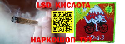 прущие грибы Гусиноозёрск