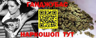 прущие грибы Гусиноозёрск