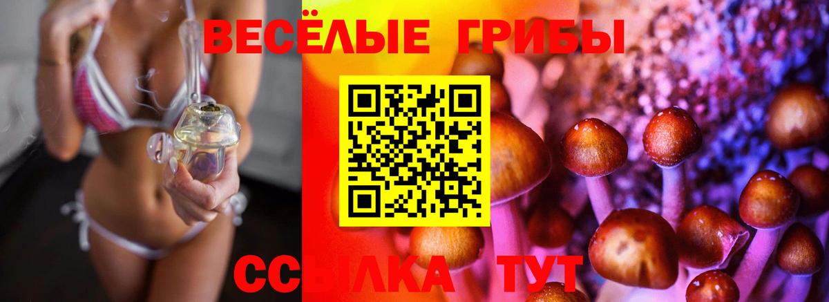 Псилоцибиновые грибы мухоморы  купить закладку  Галлюциногенные грибы GOLDEN TEACHER  Медногорск  Вход с VPN 